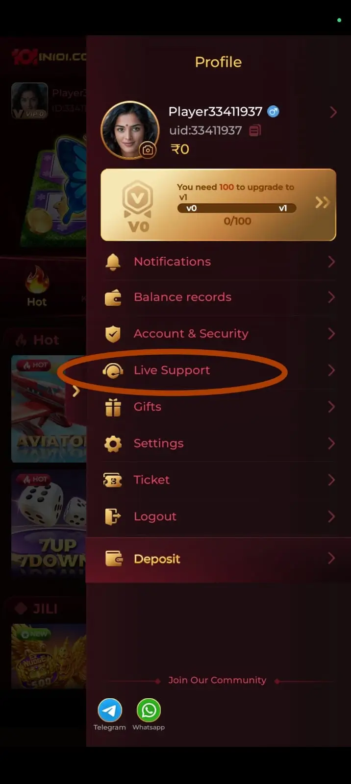 in101 support